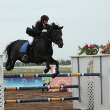 Конкур г.Астана