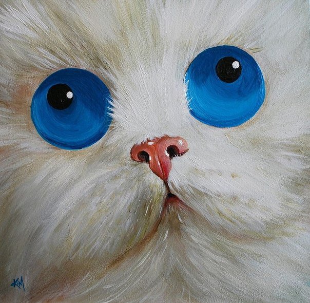 голубоглазый котэ - кошки - оригинал