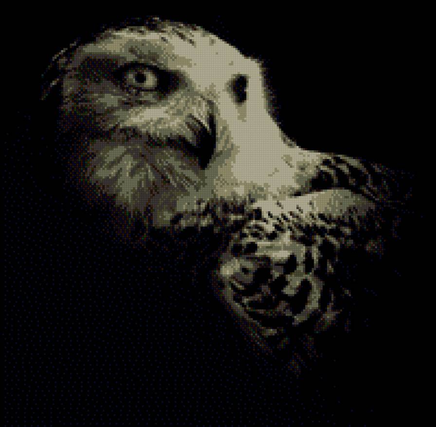 филин - монохром - предпросмотр