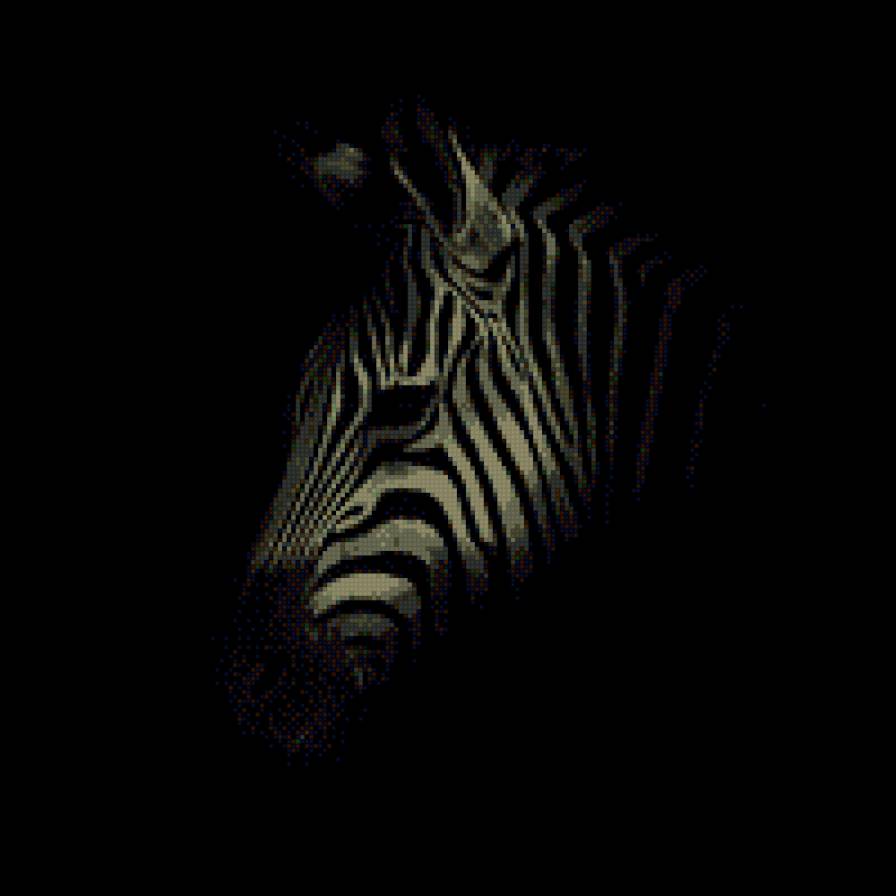 зебра - монохром - предпросмотр