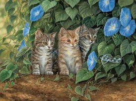 котята - картина кошки - оригинал