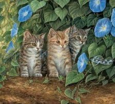 Схема вышивки «котята»