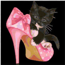 котенок и туфли