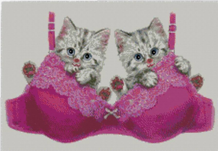 две чашечки - котята - предпросмотр