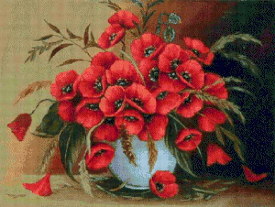 букет с маками - букет - предпросмотр