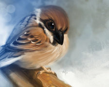 Схема вышивки «№557940»