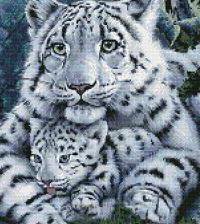 мамина защита