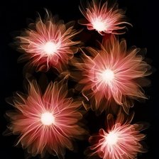 Схема вышивки «цветы»