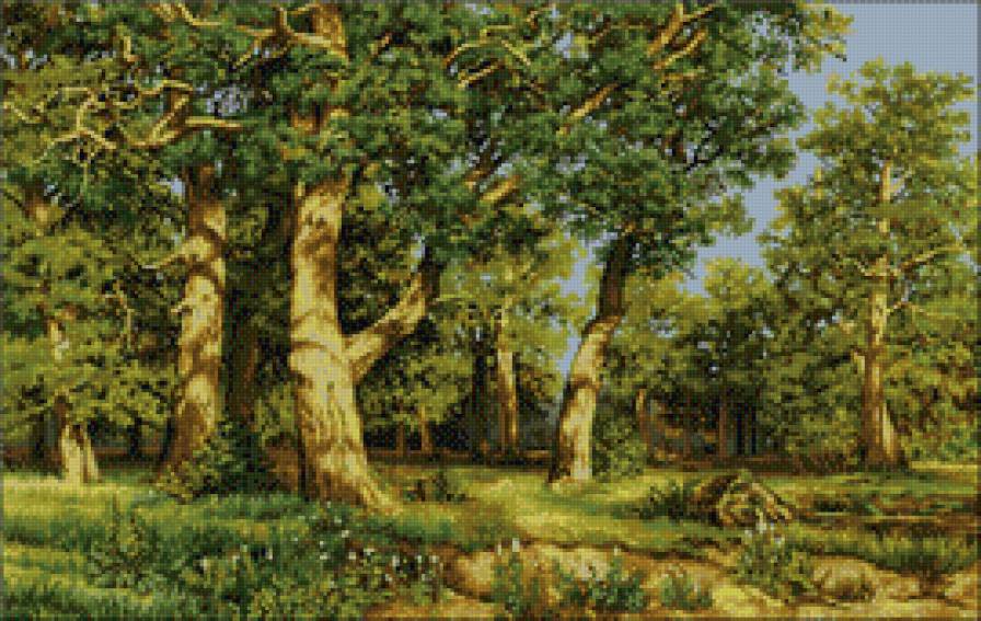 Дубовая роща - лес, дуб, пейзаж, деревья, роща - предпросмотр