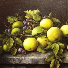 Схема вышивки «№558311»