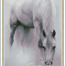 Схема вышивки «№558454»