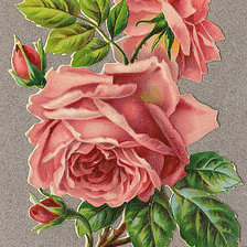 Схема вышивки «№558458»