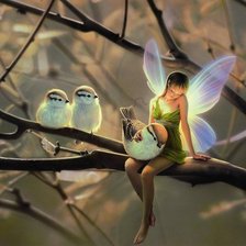 Схема вышивки «нежность»