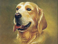 Схема вышивки «№558628»