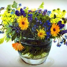 Схема вышивки «полевые цветы»