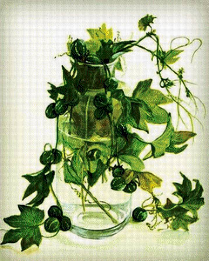 лиана - лиана, ваза - предпросмотр