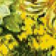Предпросмотр схемы вышивки «мимоза» (№558870)