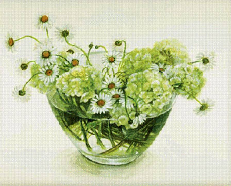 ромашки - ваза, букет, цветы - предпросмотр