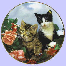 что там такое?