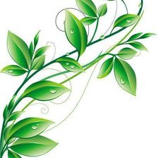 Схема вышивки «подушка2»