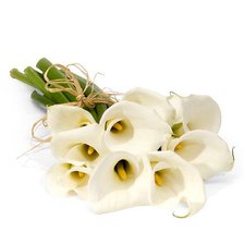 Схема вышивки «Каллы»