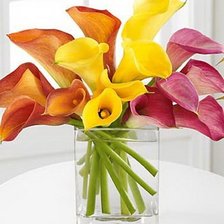 Схема вышивки «Каллы»