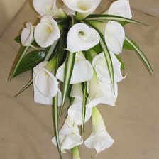 Схема вышивки «Каллы»