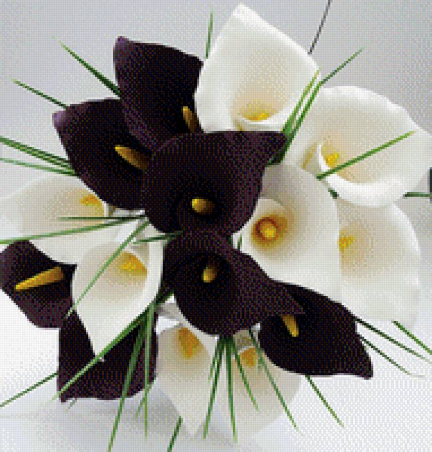 Каллы - цветы - предпросмотр