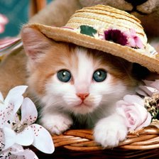 Схема вышивки «Модница»