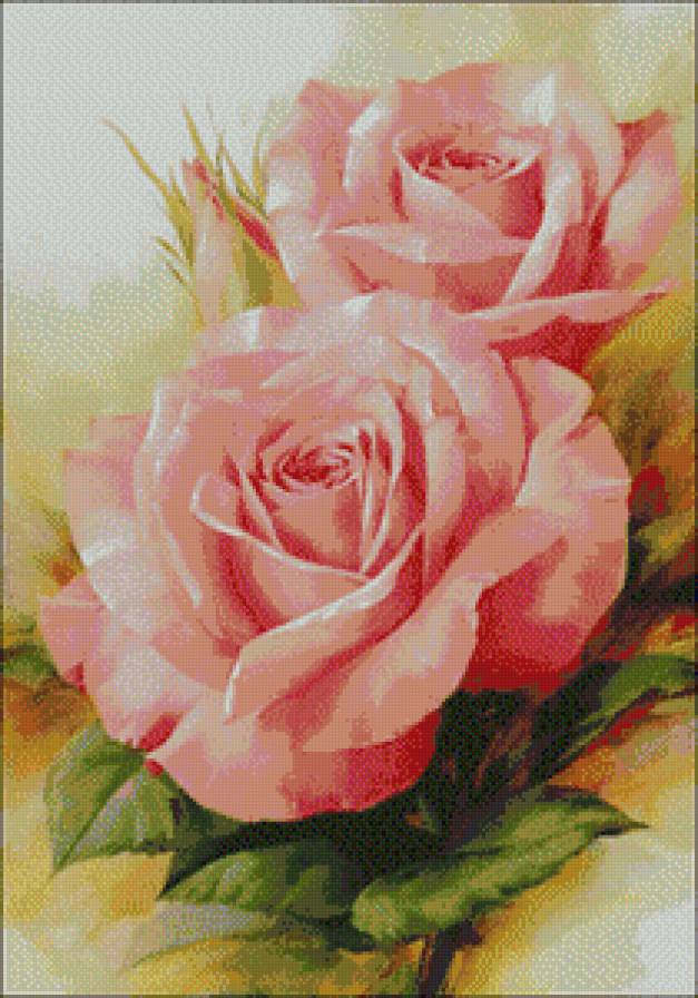 серия "розы" - цветы.розы - предпросмотр
