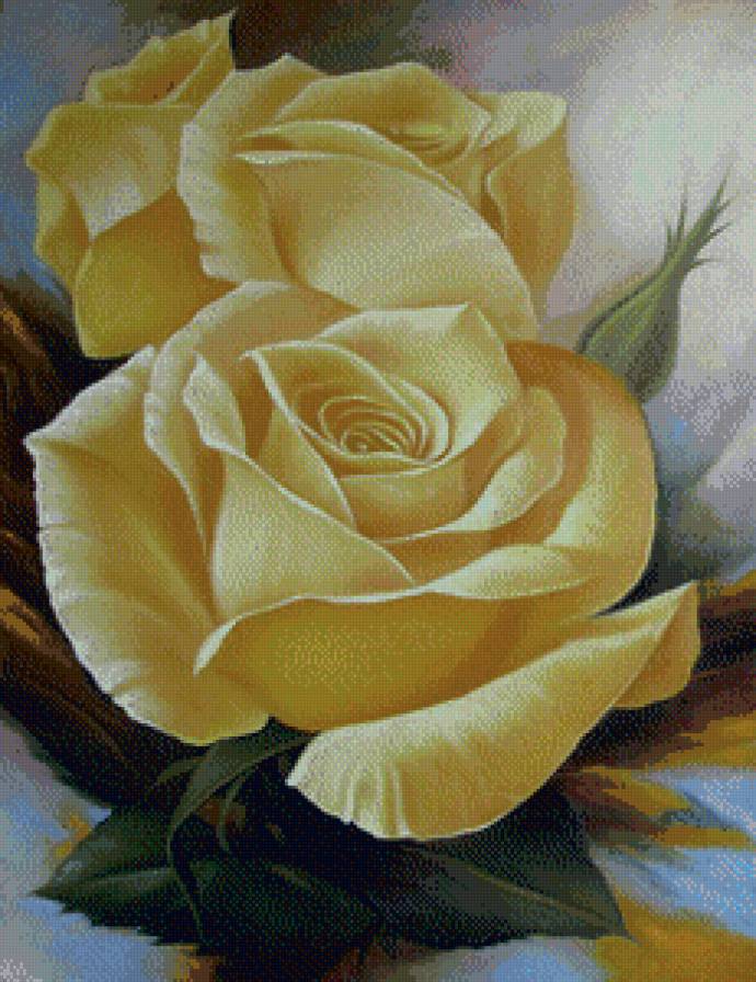 серия "розы" - цветы.розы - предпросмотр