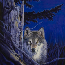 Схема вышивки «№559596»