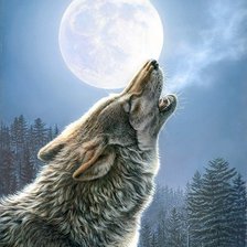 Схема вышивки «№559599»