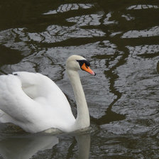 Схема вышивки «белый лебедь»