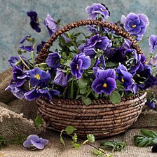 Схема вышивки «корзинка фиалок»