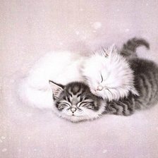 Спящие котята