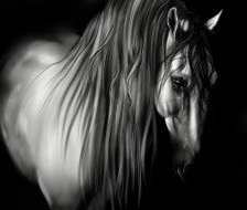 Схема вышивки «№559908»