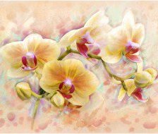 Схема вышивки «№559919»