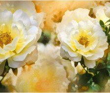 Схема вышивки «№559921»