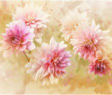 Схема вышивки «№559932»