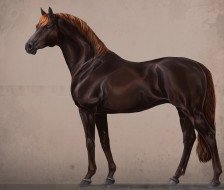 Схема вышивки «№560011»