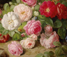 Схема вышивки «№560049»