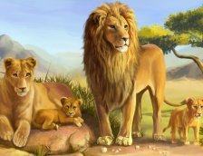 Схема вышивки «№560062»