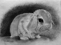 Схема вышивки «№560067»