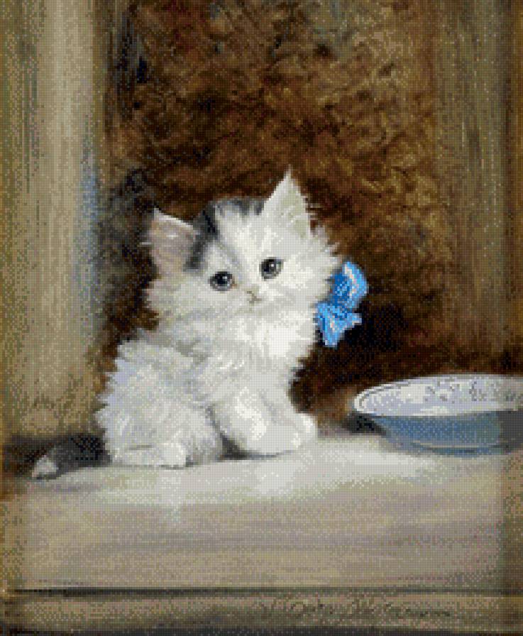 Котенок - животные, котенок - предпросмотр