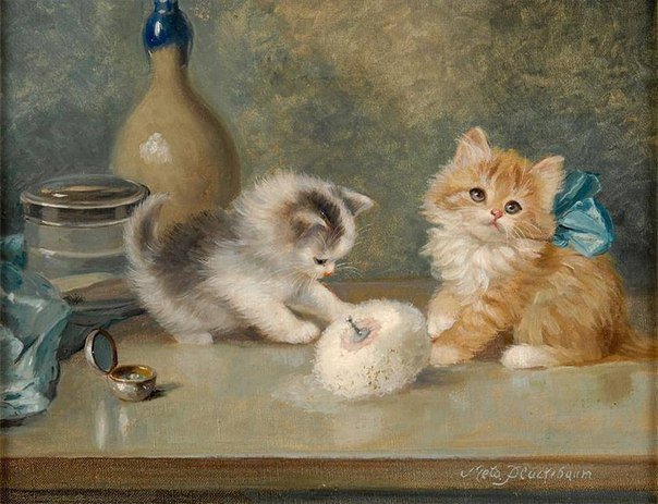 Котята - котенок, животные - оригинал