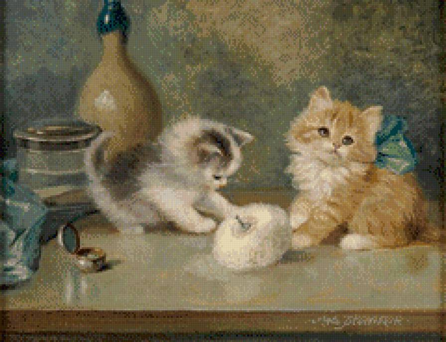 Котята - животные, котенок - предпросмотр