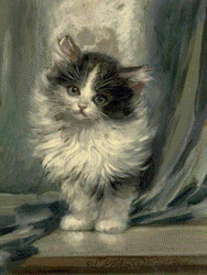 Котенок - животные, котенок - предпросмотр