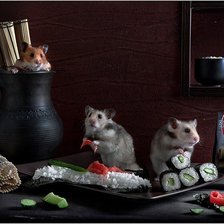 Схема вышивки «хомячки сушисты»