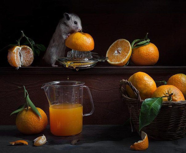 соку? - хомяки - оригинал